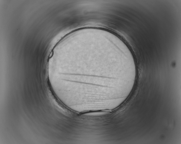 X0000116511371201001061214
