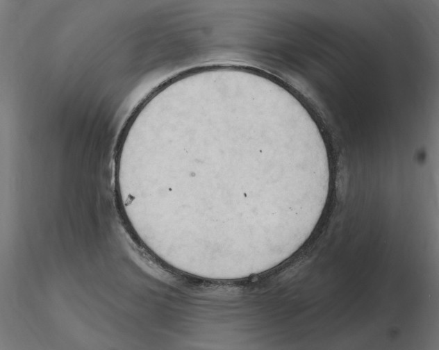 X0000116511372201001061214