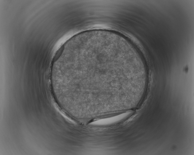X0000116511373201001061214