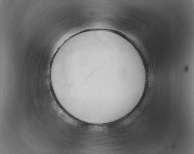 X0000116511374201001061214