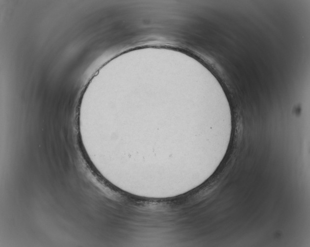 X0000116511375201001061214