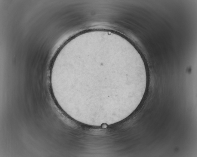 X0000116511376201001061214