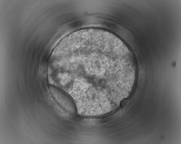 X0000116511377201001061214