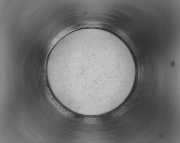 X0000116511378201001061214