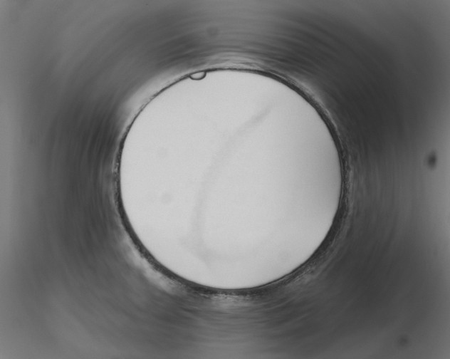 X0000116511379201001061214