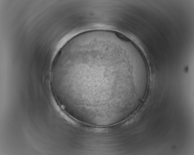 X0000116511381201001061214