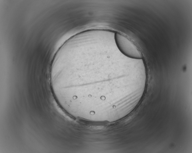 X0000116511382201001061214