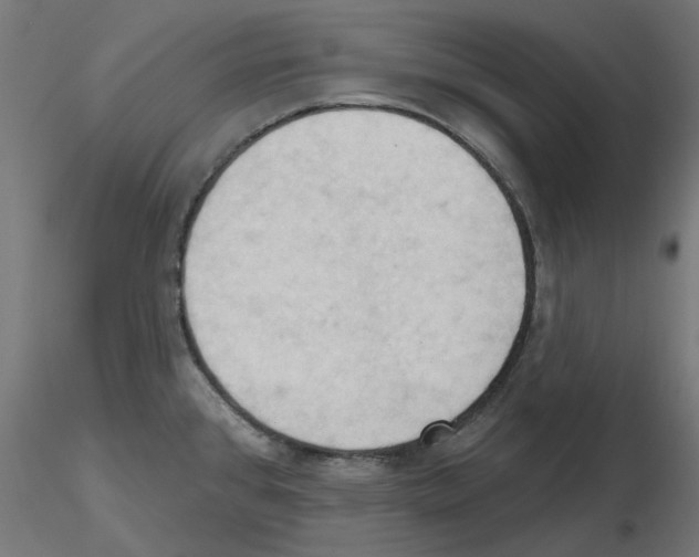 X0000116511384201001061214