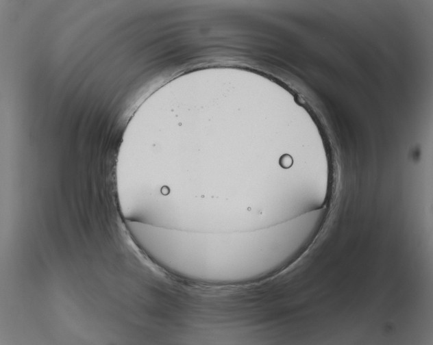 X0000116511385201001061214
