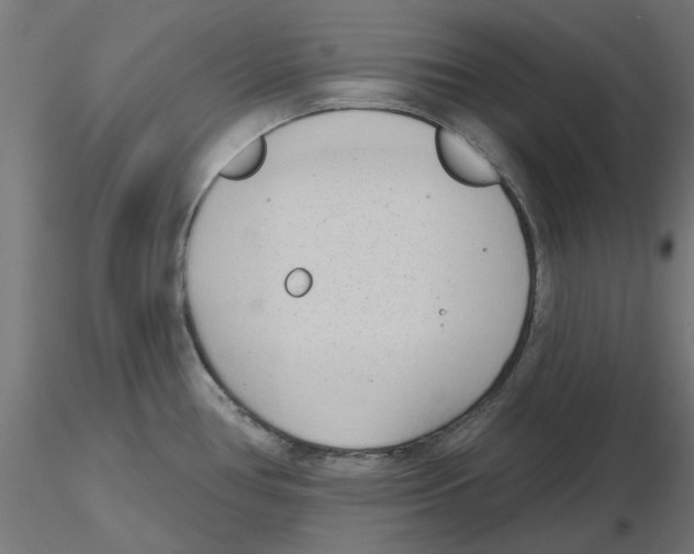 X0000116511386201001061214