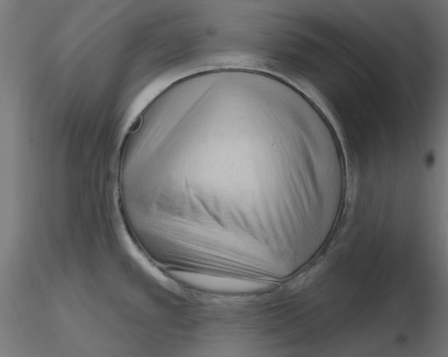 X0000116511389201001061214