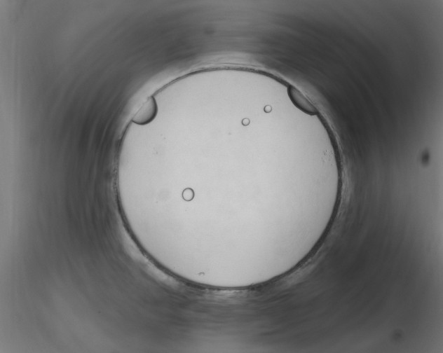 X0000116511390201001061214