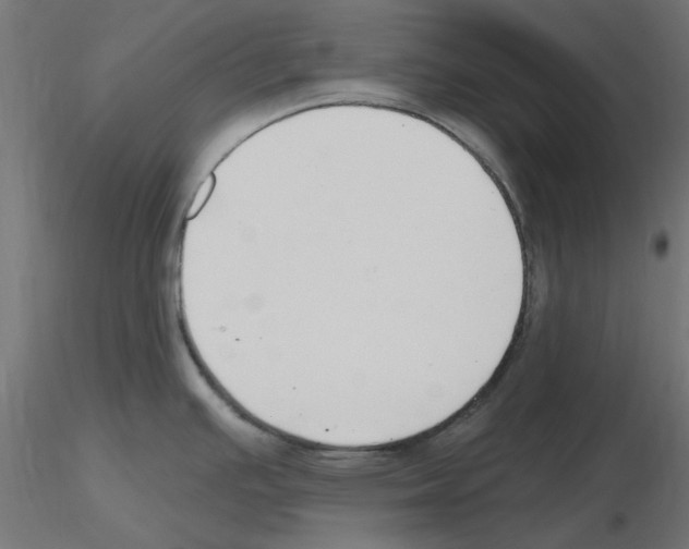 X0000116511391201001061214