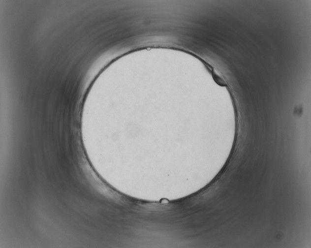 X0000116511392201001061214