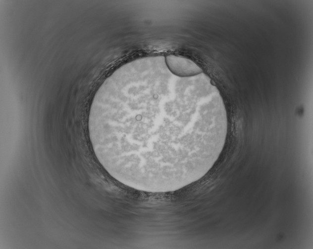 X0000116511393201001061213