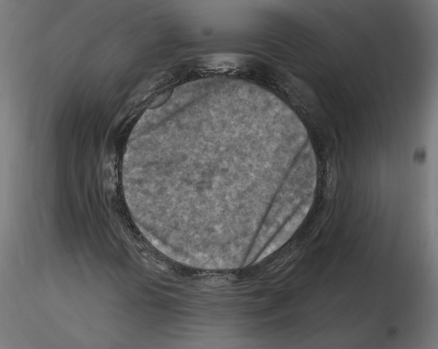 X0000116511394201001061213