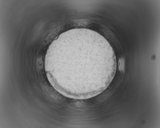 X0000116511395201001061213