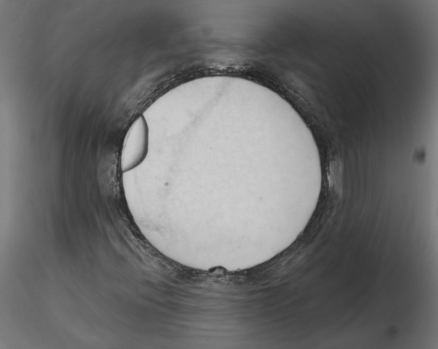 X0000116511396201001061213