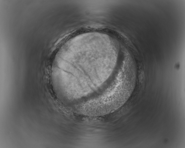 X0000116511397201001061213
