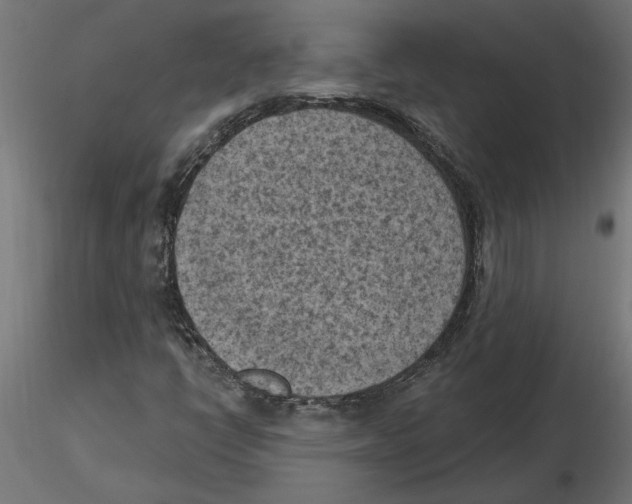 X0000116511398201001061213