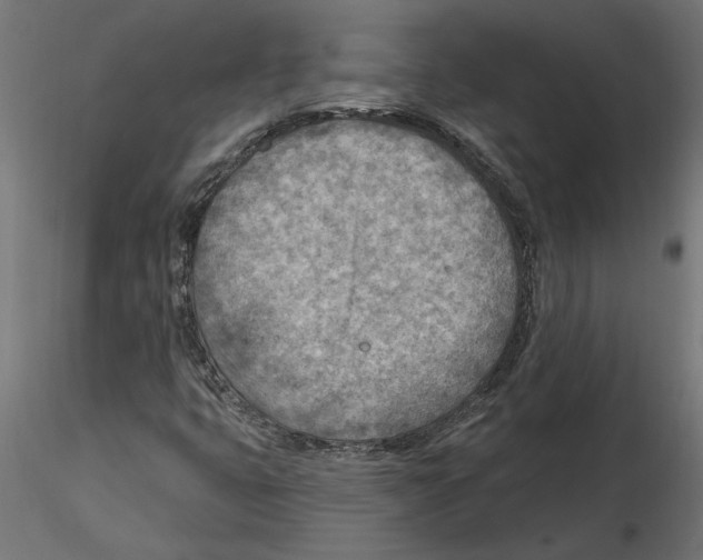 X0000116511399201001061213