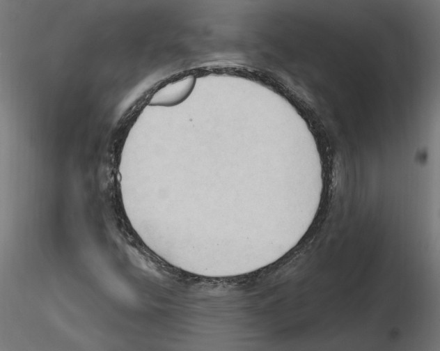 X0000116511400201001061213