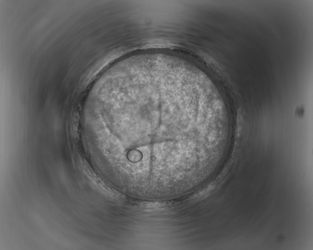 X0000116511401201001061213