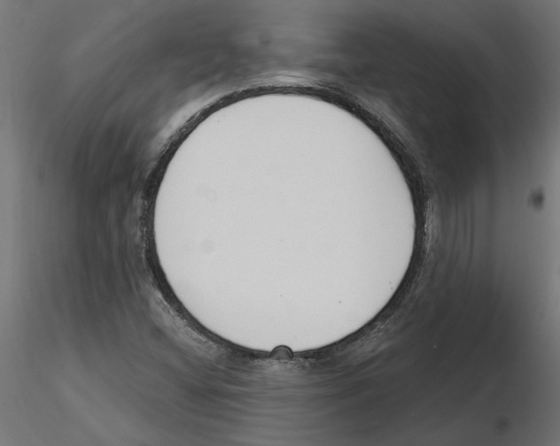 X0000116511404201001061213