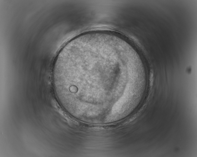 X0000116511405201001061213