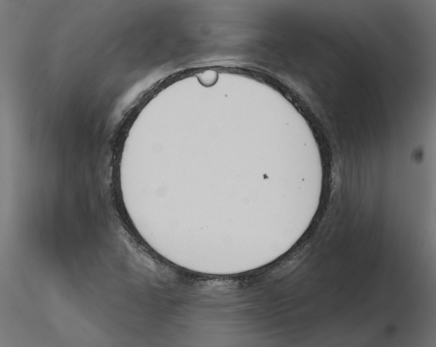 X0000116511406201001061213