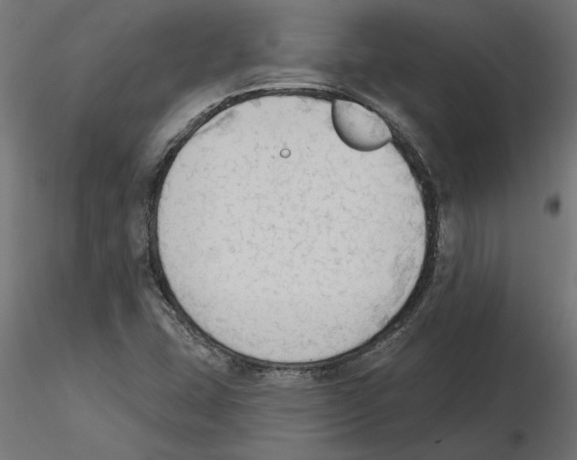 X0000116511407201001061213