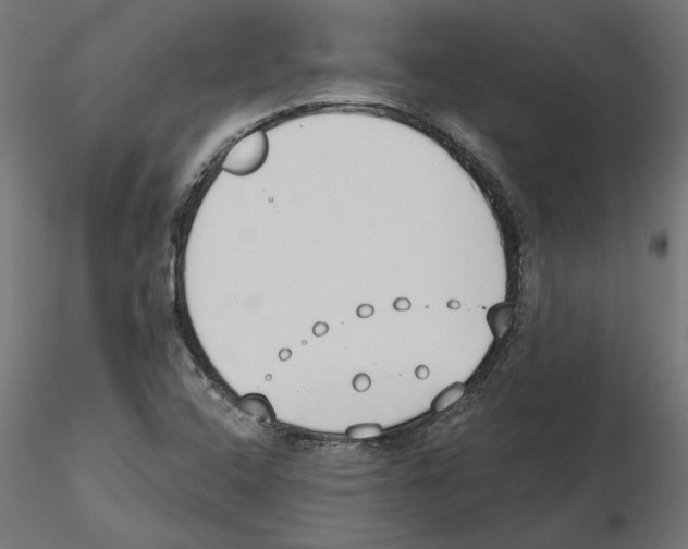 X0000116511408201001061213