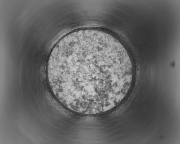 X0000116511409201001061213