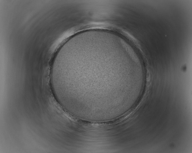 X0000116511411201001061213