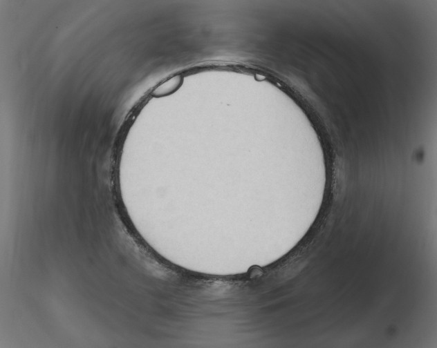 X0000116511412201001061213