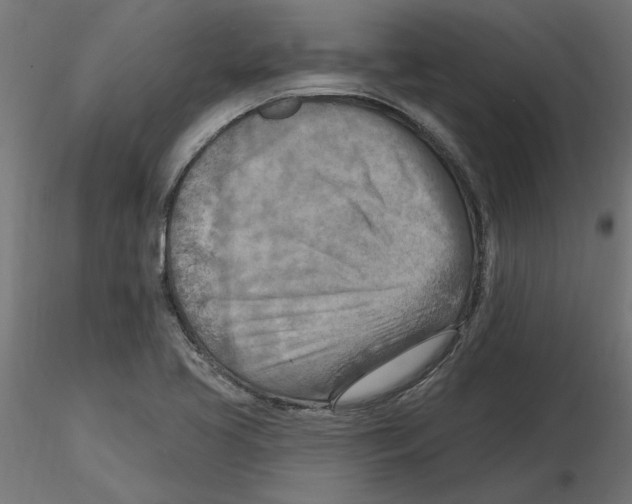 X0000116511413201001061213