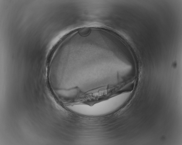 X0000116511414201001061213