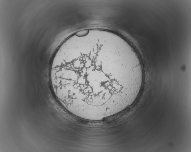 X0000116511415201001061213