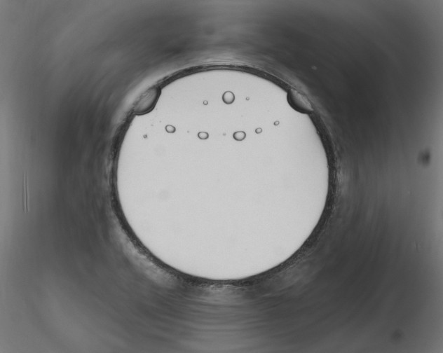 X0000116511416201001061213
