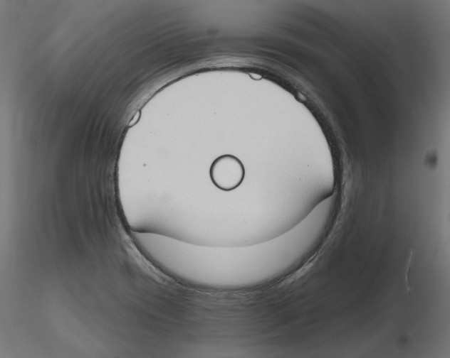 X0000116511417201001061213