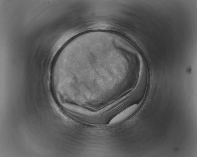 X0000116511418201001061213