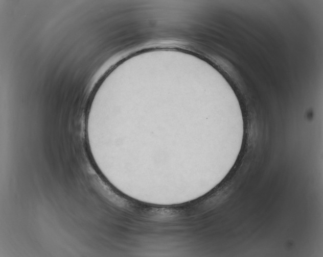 X0000116511420201001061213