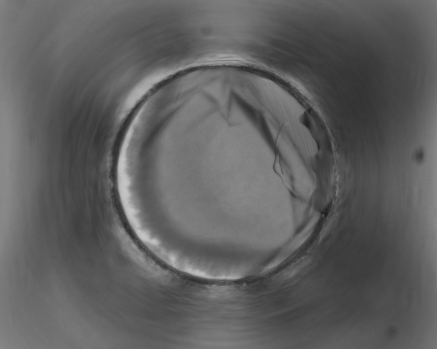 X0000116511422201001061213