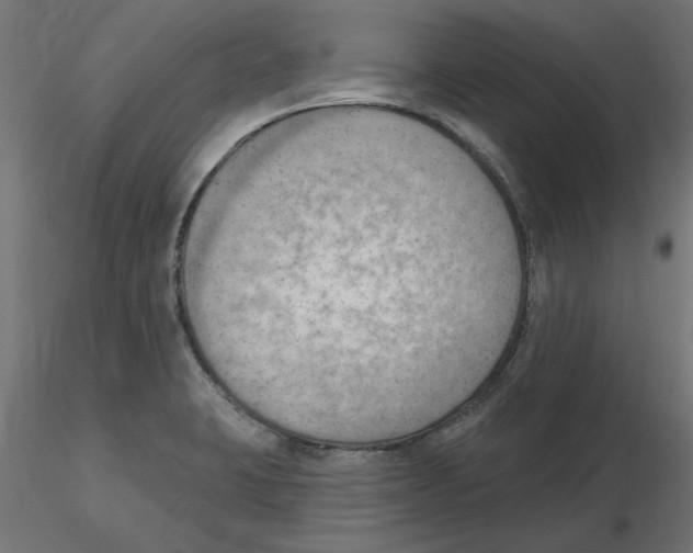 X0000116511423201001061213