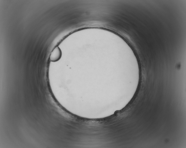 X0000116511424201001061213