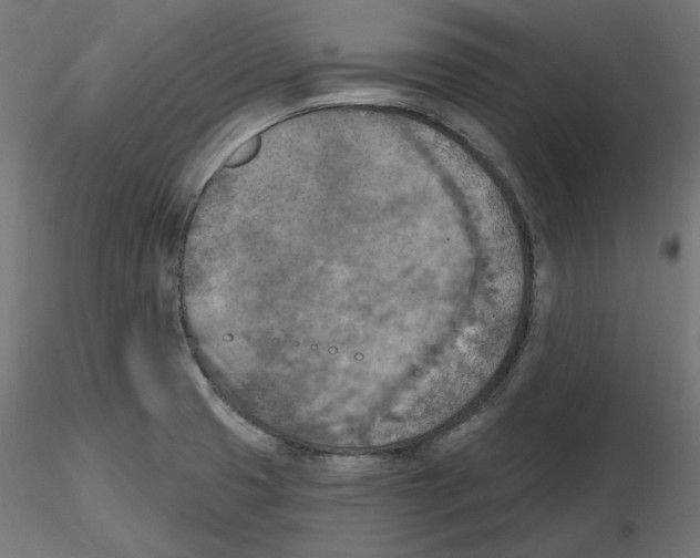 X0000116511425201001061214