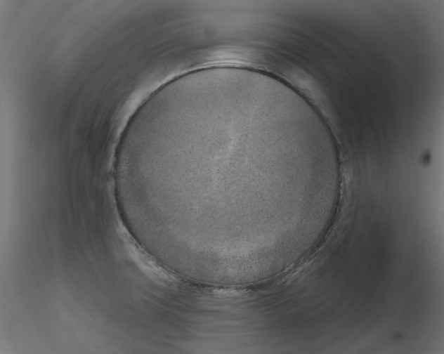 X0000116511427201001061214