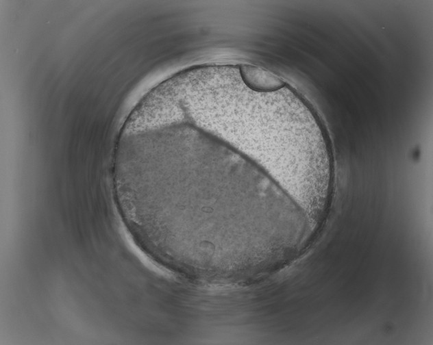 X0000116511429201001061214
