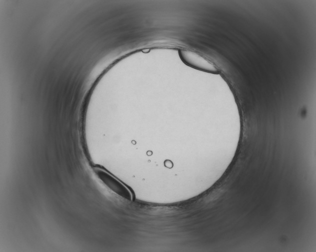 X0000116511430201001061214