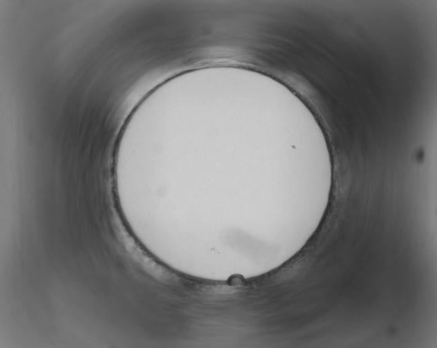 X0000116511431201001061214